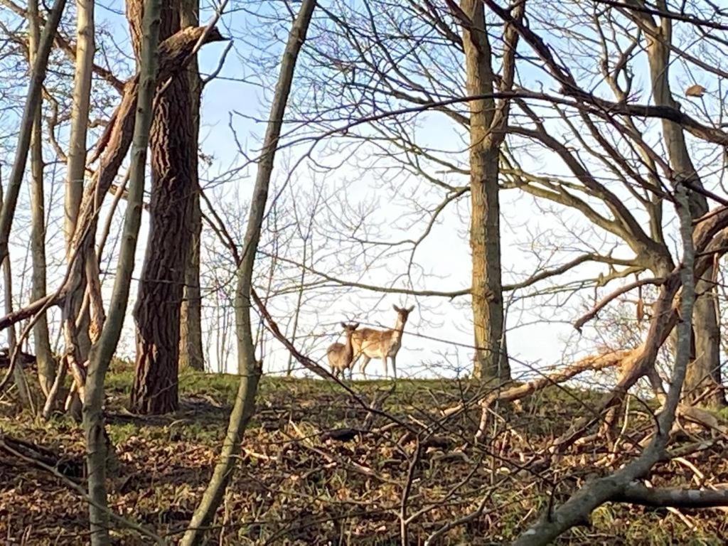 Overnachten In Zeeland Burgh-Haamstede Esterno foto